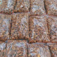خشکبار