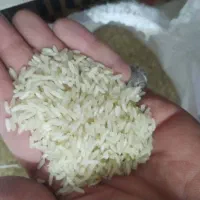 برنج ایرانی فجر