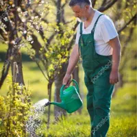 هرس ونگهداری باغ وباغچه