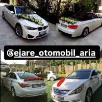 موسسه اجاره ماشین عروس اریا ((گل ماشین هدیه))