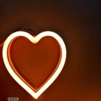 نئون|ریسه و چراغ تزئینی|تربت جام, حافظ|دیوار