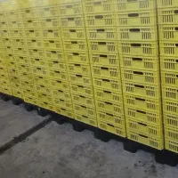 سبد پلاستیکی