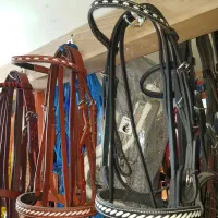 لوازم سوارکاری لوکس|اسب و تجهیزات اسب‌سواری|اندیشه, اندیشه فاز ۱|دیوار