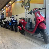 هوندا اسکوپی 110 HONDA SCOOPY ژاپنی (بانوان)