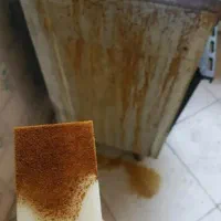 چربی زدا|مواد شوینده و دستمال کاغذی|نیشابور, گمنام غربی|دیوار