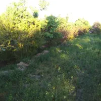 باغ دور دیوار موقعیت مناسب|فروش زمین و ملک کلنگی|کاشمر, |دیوار