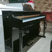 سازهای دیجیتالی پیانو|پیانو، کیبورد، آکاردئون|بجنورد, |دیوار