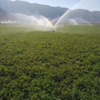 زمین-کشاورزی