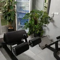 باشگاه بدنسازی|خدمات آموزشی|مشهد, هفت تیر (آب و برق)|دیوار