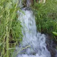 باغ-انگور-1000متری