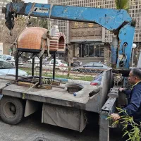 فر پیتزا ناپولی|کافی‌شاپ و رستوران|تهران, والفجر|دیوار