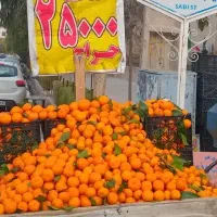 گاری چرخ فنری