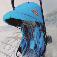 کالسکه دلیجان