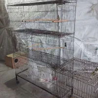 فروش قفس پرون|لوازم جانبی حیوانات|آمل, |دیوار