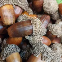 حصیر|صنایع دستی و سایر لوازم تزئینی|تهران, آهنگ|دیوار