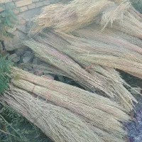 جارو باغی|لوازم نظافت|لاران, |دیوار