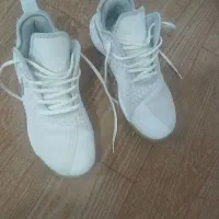 کفش.اورجینال|کیف، کفش، کمربند|سیجوال, |دیوار