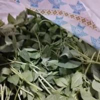 سبزی|خوردنی و آشامیدنی|لردگان, |دیوار