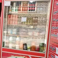 ایخچال ویترینی ایستاده