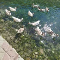 وام ازدواج فوری ۳۵۰میلیونی