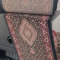 دوتخته لاکیش بدون زدگی