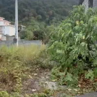 ۱۰۰۰متر زمین در سورخانی .سنددار جواز ساخت آب برق