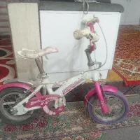 دوچرخه دوازده در حد نو سالم