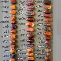 ارسال  نخل تنه دار از نخلستان|خدمات باغبانی و درختکاری|محلات, |دیوار