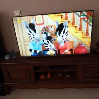 تلویزیون ال ای دی ۴۳ سینگل