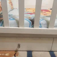 تخت کودک|تخت و سرویس خواب|ورامین, ورامین|دیوار