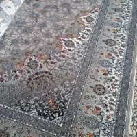 فرش|فرش|فسا, |دیوار