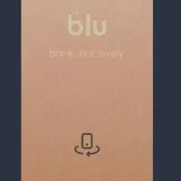 ۲۵۰ تومن هدیه ناقابل بلو بانک .