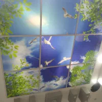 آسمان مجازی