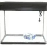 آکواریوم شرکتی