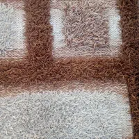 فرش اشپز خانه اتاق|فرش|ملایر, |دیوار