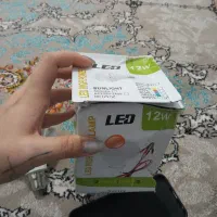 لامپ الکتریکی اضتراری|لامپ و چراغ|سقز, |دیوار