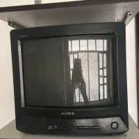 تلوزیون