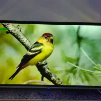 تلویزیون 55 انج هوشمند