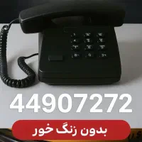 خط ثابت رند