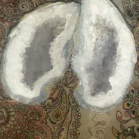 سنگ های شجرو املتیس معاوضه طوطی|کلکسیون اشیاء عتیقه|کرج, خرمدشت|دیوار