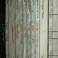 فرش پاتریس|فرش|تربت‌حیدریه, یحیی آباد|دیوار