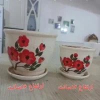 گل آلوئه ورا.گل طبیعی وگلدان سرامیکی وپلاستیکی|حراج|قم, باسکول|دیوار