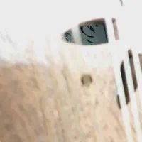سنتور لاکوک استاد محسن راسخ|سازهای سنتی|تهران, جنت‌آباد شمالی|دیوار