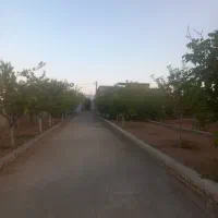 فروش باغ ویلا در روستای عضدیه شازند|فروش خانه و ویلا|شازند, |دیوار