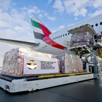 کارمند اداری خانم