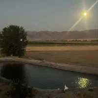 فروش فوری زمین کشاورزی|فروش دفتر صنعتی، کشاورزی، تجاری|ساروق, |دیوار