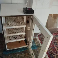 دستگاه تردمل دستگاه ویبره دستگاه جوجه کشی|تجهیزات ورزشی|رودسر, |دیوار