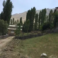 زمین دوبر در بهترین منطقه پلور|فروش زمین و ملک کلنگی|رینه, |دیوار