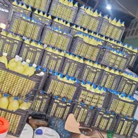 ابلیمو ترشیجات|عمده‌فروشی|تهران, میدان میوه و تره‌بار مرکزی|دیوار