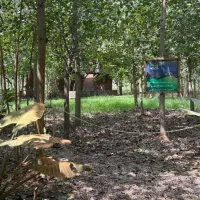 سرمایه گذاری در منطقه گردشگری پرسود|فروش خانه و ویلا|مشهد, کوی سیدی|دیوار